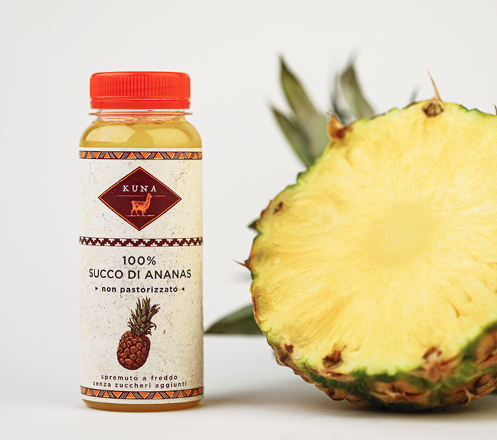 kuna-ananas-fruit-page