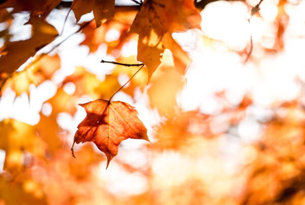 ottobre e l'autunno